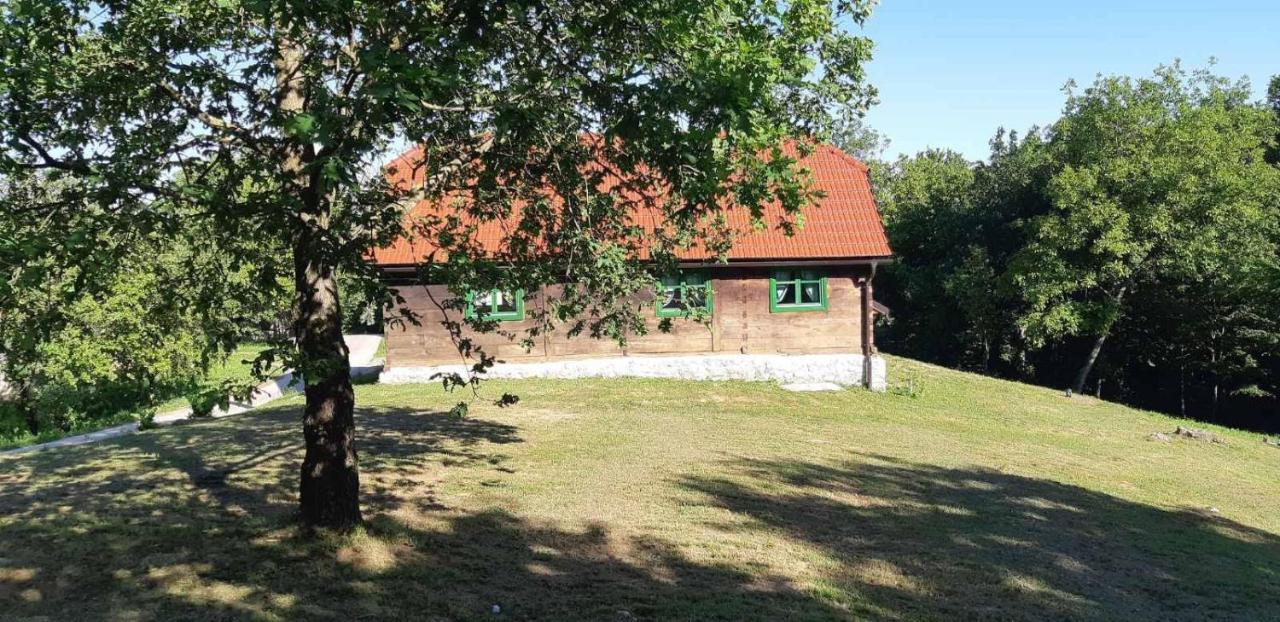 Bakina Iza Villa Duga Resa Exterior photo